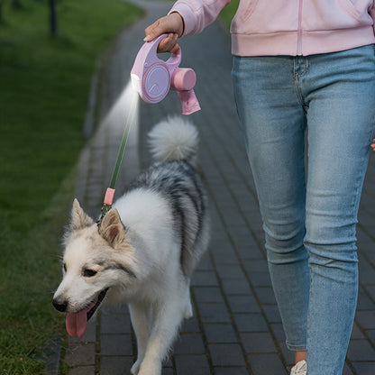 une femme et sa chienne en laisse enrouleur chien lors de la sortie en soiree