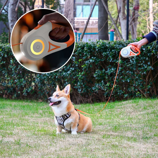 Laisse Enrouleur Chien | BrightDog™