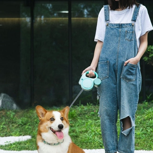 jeune femme avec son petit chien qui le tient avec sa laisse enrouleur chien verte