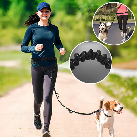 Husky et beagle avec sa laisse pour chien dans un jogging en plein air