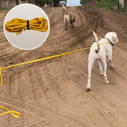 Laisse pour chien | WaterPet™