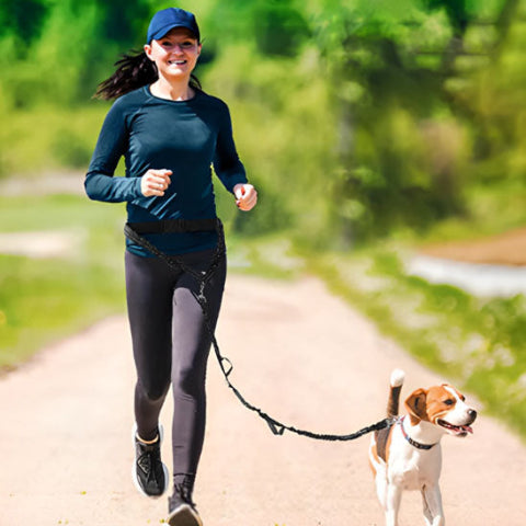 Jeune femme avec laisse pour chien dans un jogging