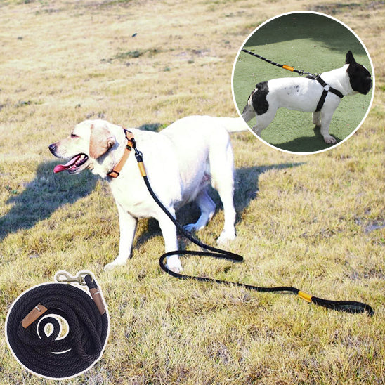 Laisse pour chien | Traindog™