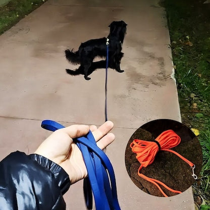 Laisse pour chien | WaterPet™
