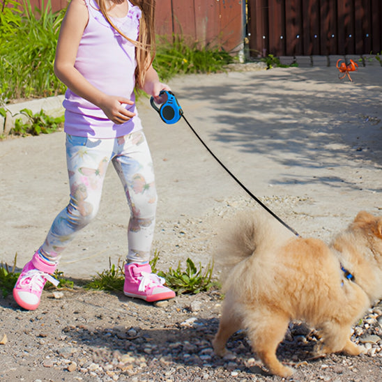fillette-en-securite-avec-laisse-chien