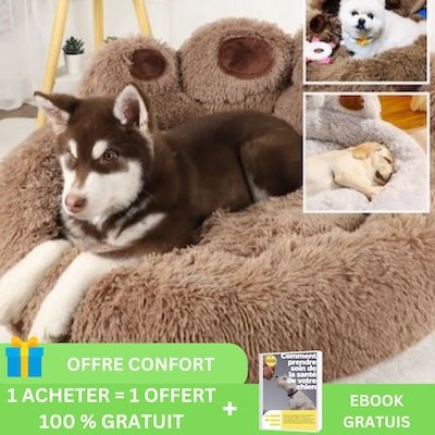 Lit pour chien | Confort - Bedfit™ - Pitou a Tout