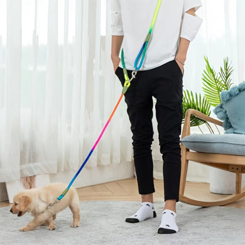 jeune homme en attente avec son chiot tenu par la longe chien dans le salon les mains libres