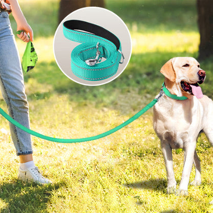 labrador blond en balade pour ses besoins avec sa maitresse et la longe chien