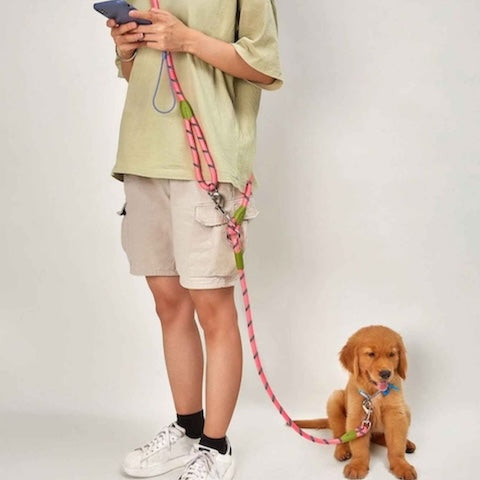 longe chien rose