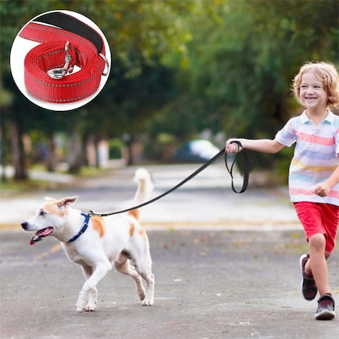 un enfant qui cour avec son chien et sa longe chien