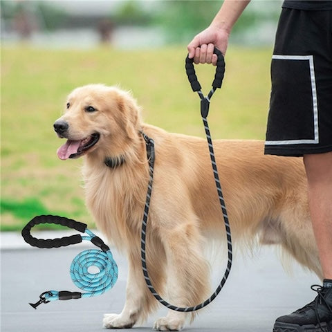 longe pour chien balade couleur bleu