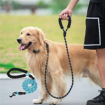 longe pour chien balade couleur bleu