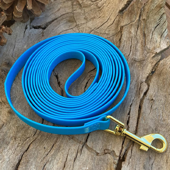 Longe pour chien| Trailblazer™