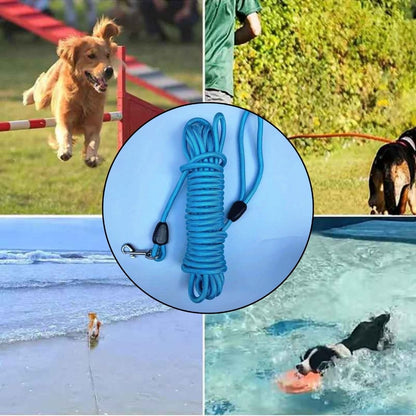 Longe pour chien | Trail Longe™