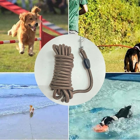 Longe pour chien | Trail Longe™