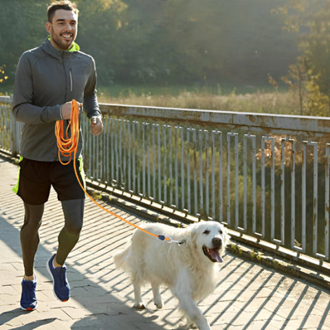 homme qui coure sur un pont avec son chien tenu en avec sa longe pour chien