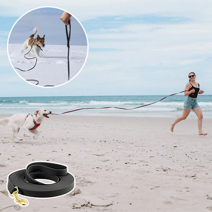 Longe pour chien| Trailblazer™