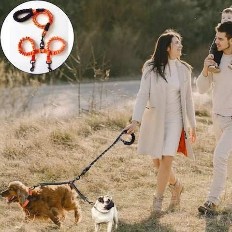 longe pour chien orange double
