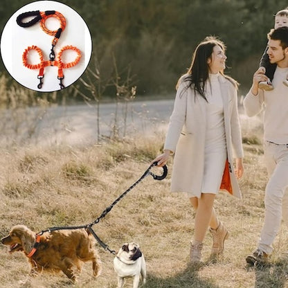longe pour chien orange double