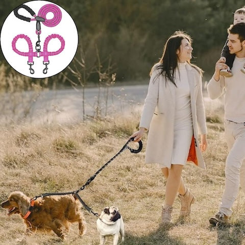 longe pour chien rose double