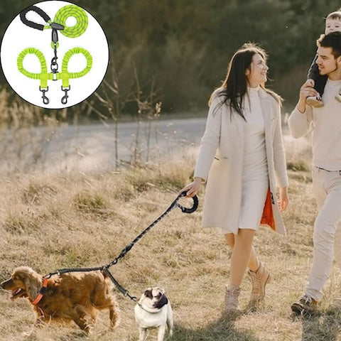 longe pour chien verte double