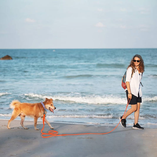 Longe pour chien| Trailblazer™