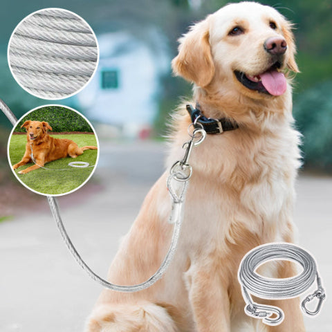 longe pour chien securitaire pour sortie chez des amis