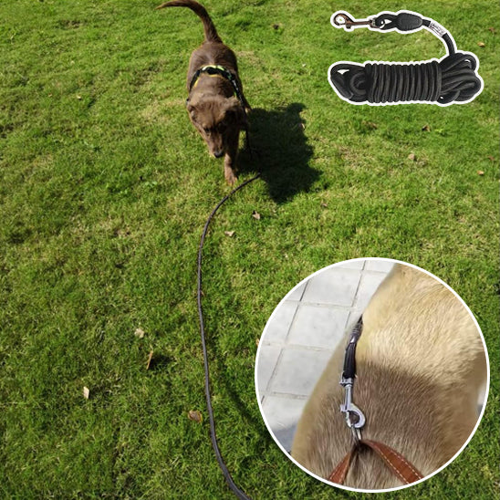 Longe pour chien | Trail Longe™