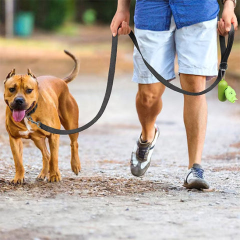 homme en balade avec son pit bull terrier et la longe chien noir