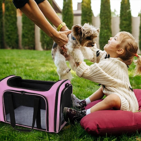 sac-transport-chien-securitaire-pour-petit-chien