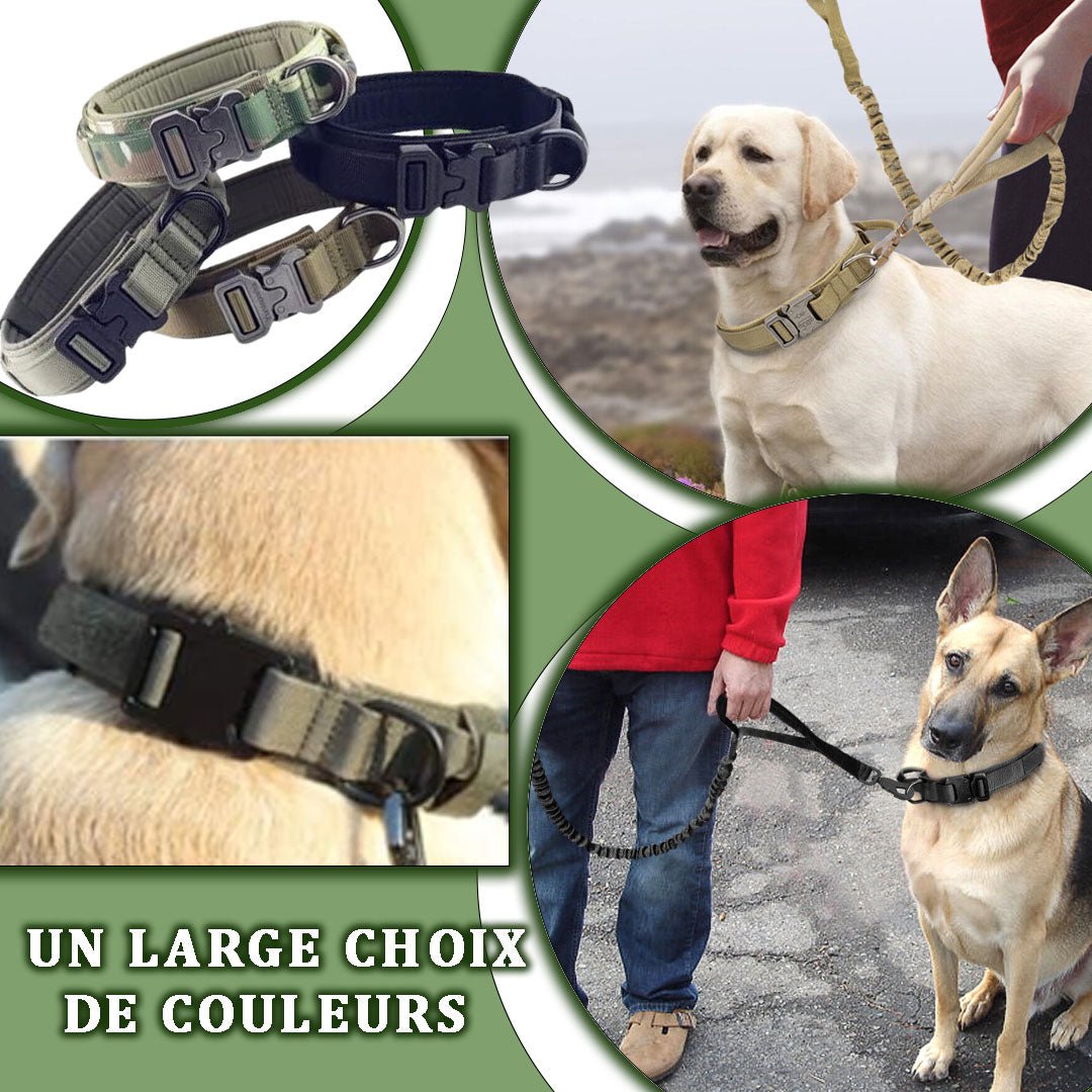 Collier chien | TrackDog™ - Pitou a Tout