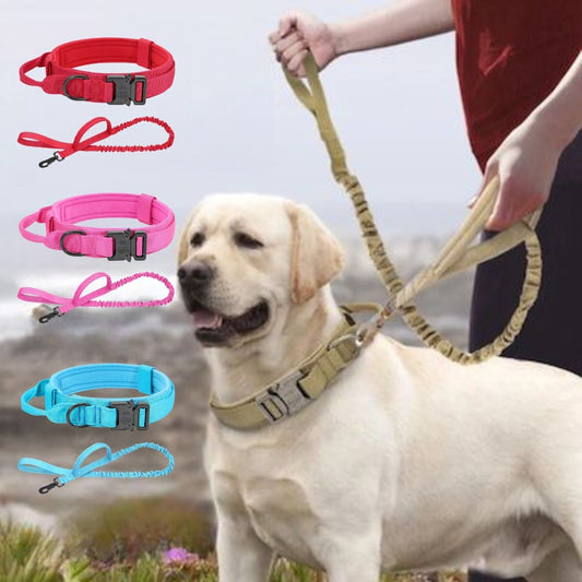 Collier pour chien | FlashDog™ - Pitou a Tout