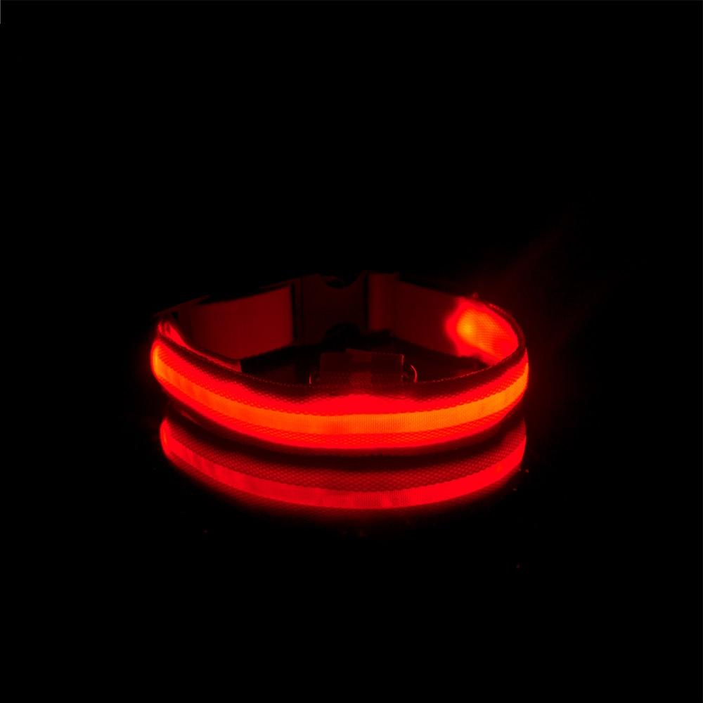 LedCollar™ - Collier à LED rechargeable pour chien - Pitou a Tout