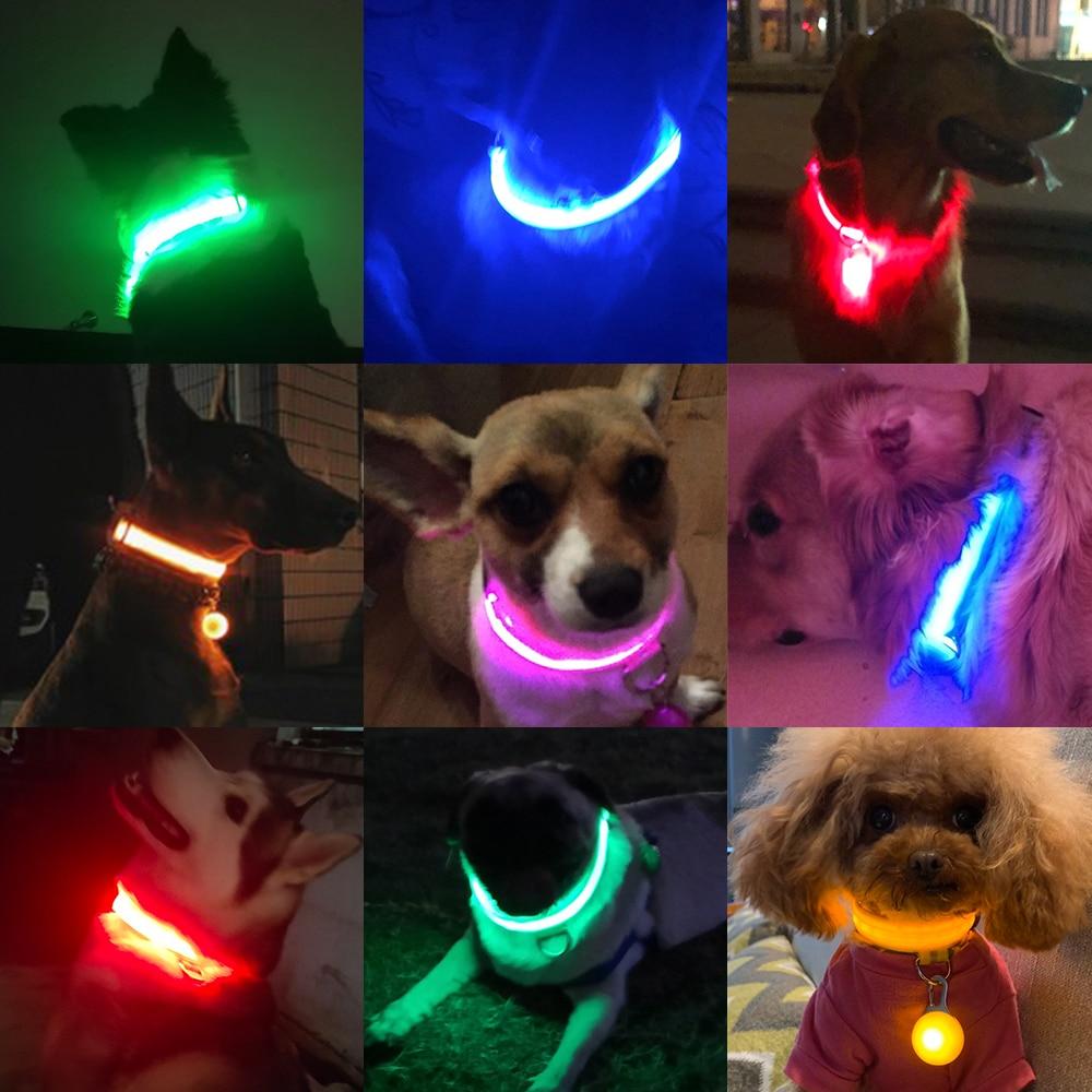 LedCollar™ - Collier à LED rechargeable pour chien - Pitou a Tout