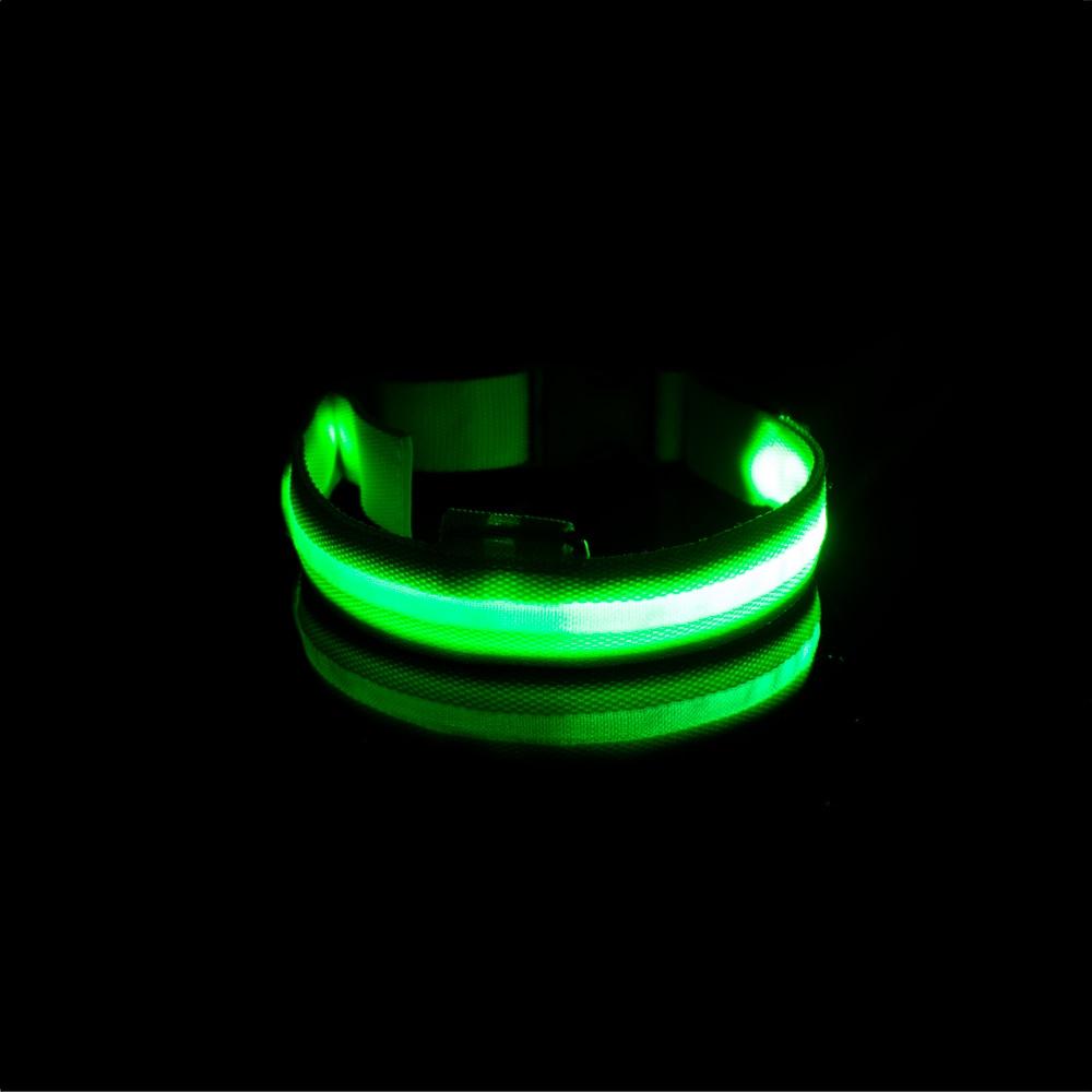 LedCollar™ - Collier à LED rechargeable pour chien - Pitou a Tout