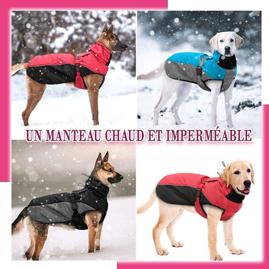 Manteau chien | DogRain™ - Pitou a Tout