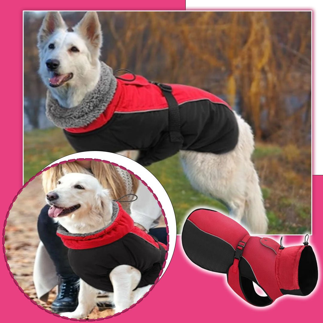 Manteau chien | DogRain™ - Pitou a Tout