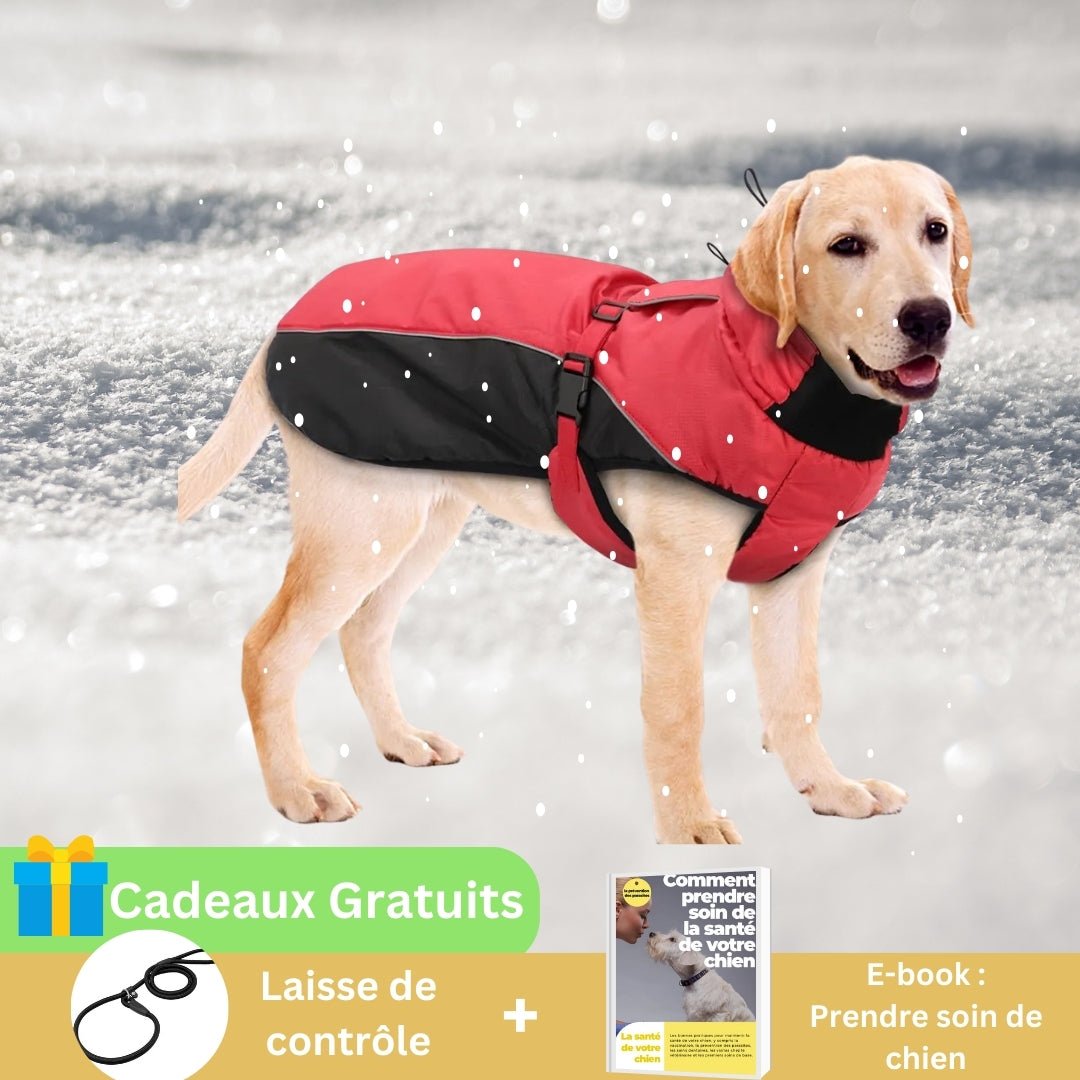 Manteau chien | DogRain™ - Pitou a Tout