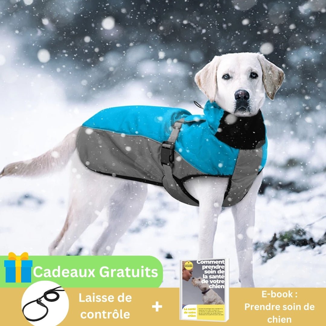 Manteau chien | DogRain™ - Pitou a Tout