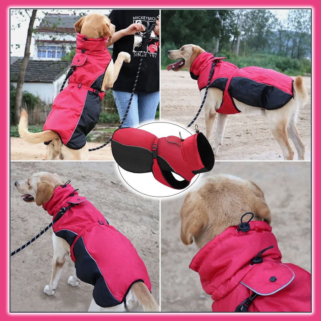 Manteau chien | DogRain™ - Pitou a Tout