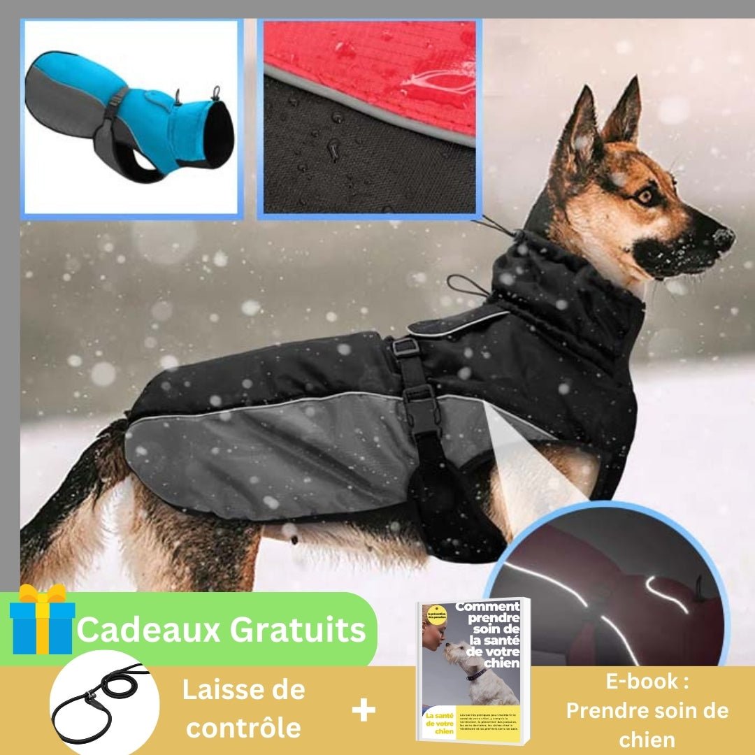 Manteau chien | DogRain™ - Pitou a Tout